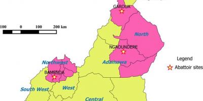 Pokazując regionów mapie Kamerunu